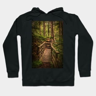 Woodland Bridge At Thirlmere Hoodie